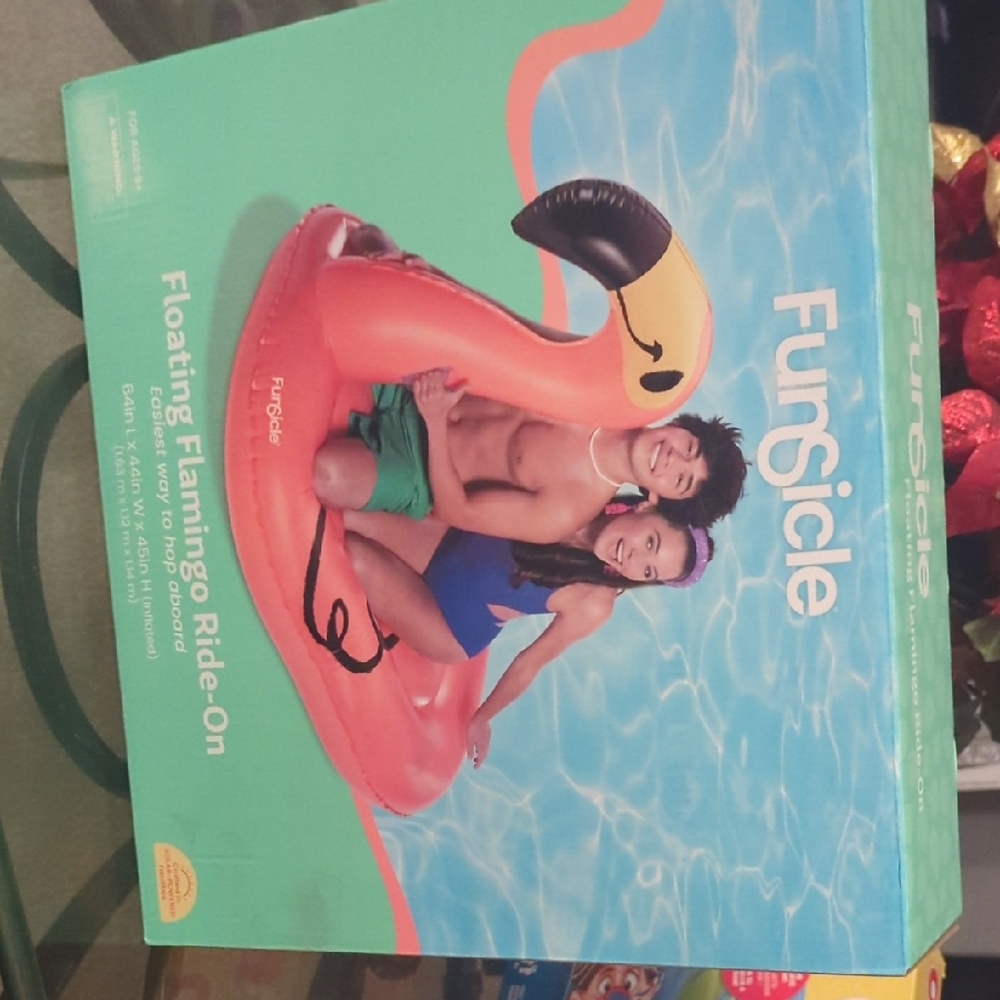Pink Inflatable Flamingo 🦩